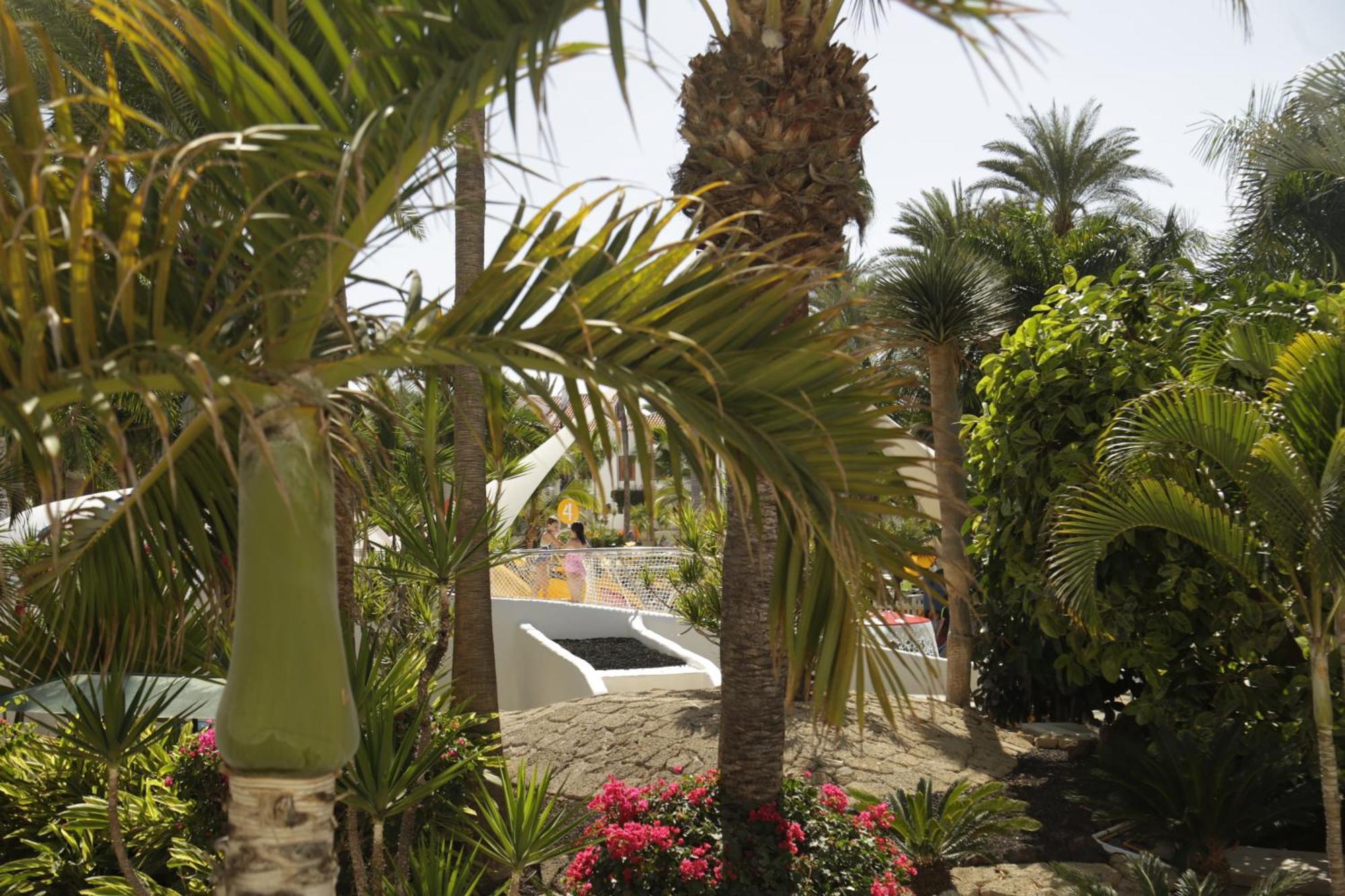 Parque Santiago 3 Luxery Apartment, Playa Las Americas, Arona, Tenerife Плая-де-лас-Америкас Экстерьер фото